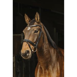 301896202-briglie-da-equitazione-norton-pro-galon-nero