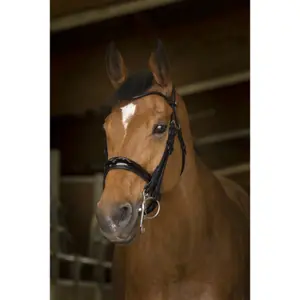 Zaumzeug Reiten Norton Pro Cuir rond image-0