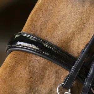 Zaumzeug Reiten Norton Pro Cuir rond image-2