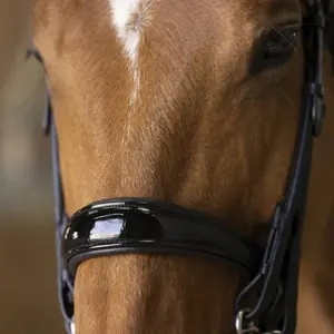 Zaumzeug Reiten Norton Pro Cuir rond image-3