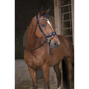 Resguardos para agarrar cavalos Norton Pro image-1