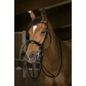 Resguardos para cavalos de freio Norton Pro, cuir rond image-1