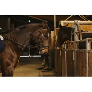 German bolt with strap fastener Norton Pro image-4