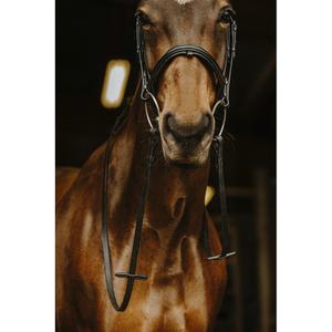 Horse reins in soft leather Norton Pro image-2