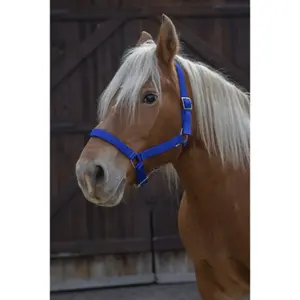Halter for draft horse Norton Pro image-1