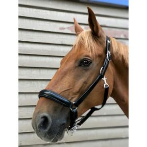 510300202-halster-voor-paarden-norton-pro-anatomique-zwart