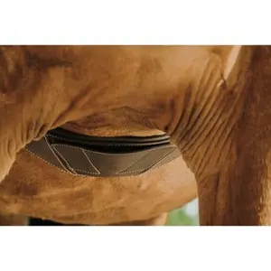 203147425-sadelgjord-for-hast-norton-magnet-havanna