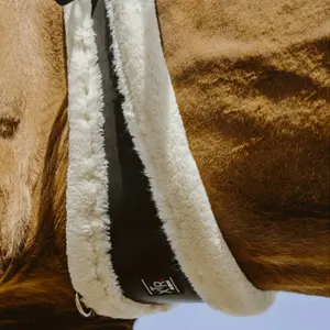 Ιμάντας για άλογα Norton Mouton Synthétique image-1