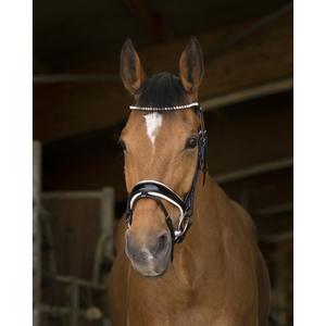 301891-riding-bridle-norton-pro-bella-black
