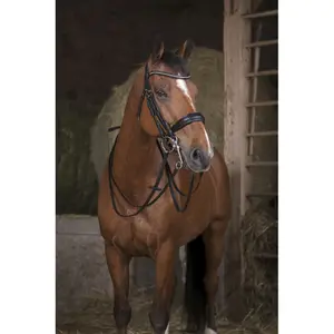 Σημαδέτες για ά horse Norton image-1