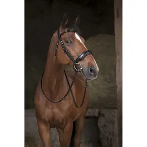 Σημαδέτες για ά horse Norton image-2