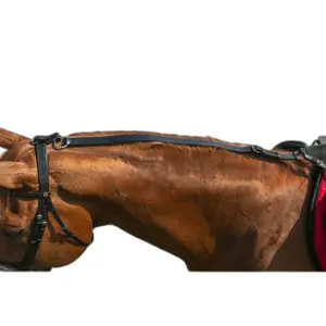 Elasticated Training Aid Norton Pro