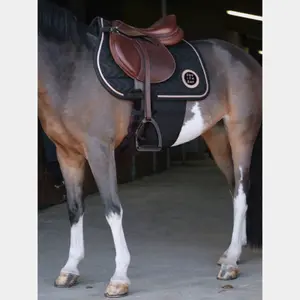 Bande de respect Norton image-1