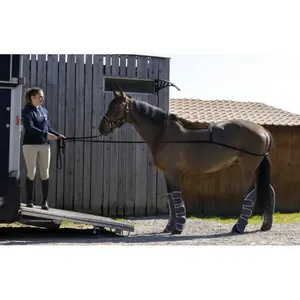 Boarding gear Norton image-2
