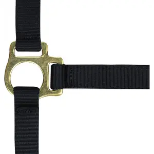 Halter for foal and lead rope Norton image-0