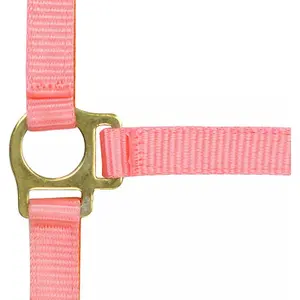 Halter for foal and lead rope Norton image-1
