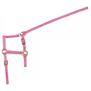 Halter for foal and lead rope Norton image-0