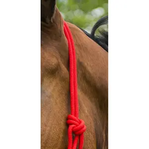 Halter for horse Norton First image-4