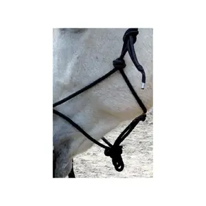 Ethological halter for horse with reins Norton image-2