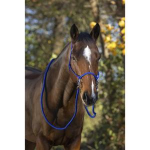 Knotenhalfter mit Zügeln Norton image-1