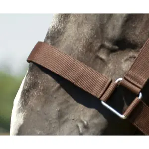 Halter for draft horse Norton image-1