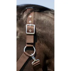 Halter for draft horse Norton image-2