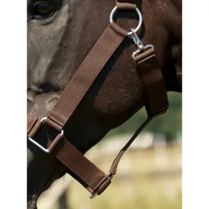 Halter for draft horse Norton image-3