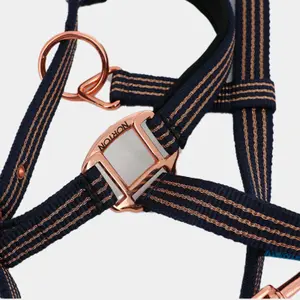 Licol pour cheval Norton Zari image-1