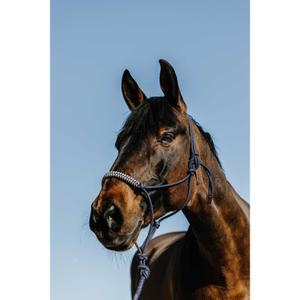 510265307-ensemble-licol-et-longe-pour-cheval-norton-deco-marine-beige-full