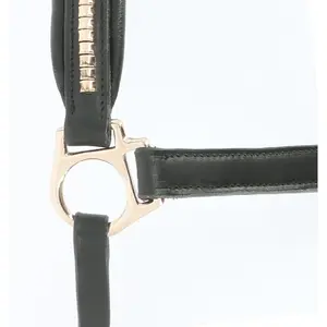 Leather halter for horse Norton Clincher image-0