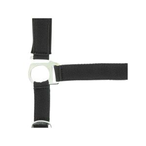 Cavezza per cavalli Norton Doublé néoprène image-1