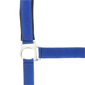 Cavezza per cavalli Norton Doublé néoprène image-1