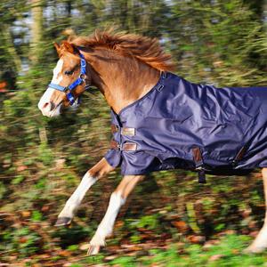 Cavezza per cavalli Norton Doublé néoprène image-2