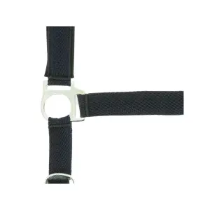 510494007-cavezza-per-cavalli-norton-double-neoprene-marino