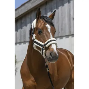 Kantar dla koni Norton Cosy image-0