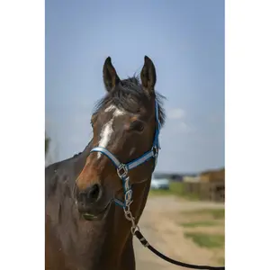 Licol pour cheval en nylon doux Norton image-0