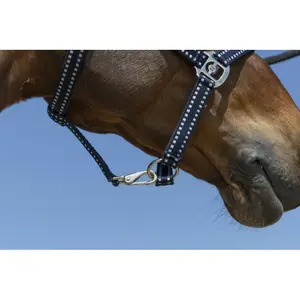 Licol pour cheval Norton Grooming image-3