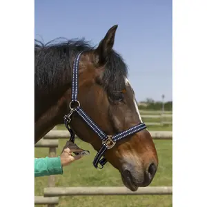 Licol pour cheval Norton Grooming image-2