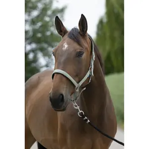 Satijnen paardenhalster Norton image-0