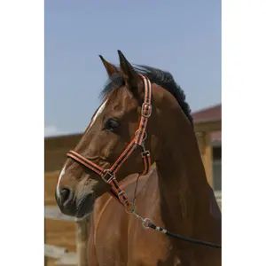 Satijnen paardenhalster Norton image-1