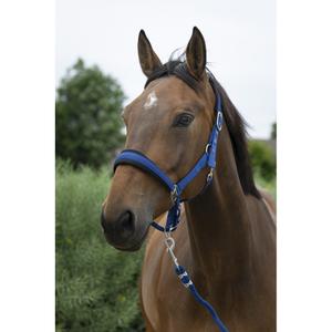 510249206-halter-and-lead-rope-set-for-large-horses-norton-blue
