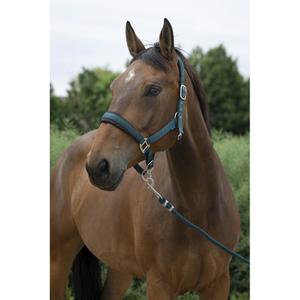 510249209-halter-and-lead-rope-set-for-large-horses-norton-dark-green