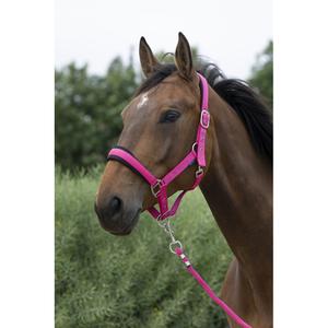 510249235-halter-and-lead-rope-set-for-large-horses-norton-raspberry