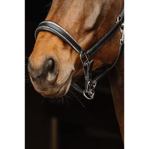 Leather horse halter Norton Rock image-1