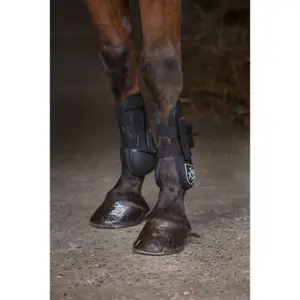 Guêtres pour cheval Norton XTR image-6