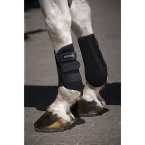 Front gaiters for horses Norton Elastiques image-3