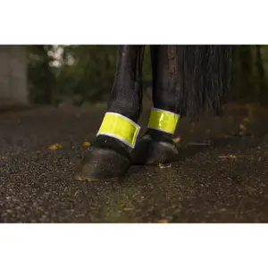 Paire de bandages élastique pour cheval pour postérieurs Norton image-0