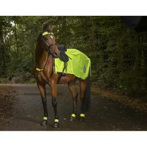 Lining for horses Norton image-1