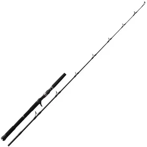 Casting rod NS Black Hole Boca B-632 100-200 g image-0
