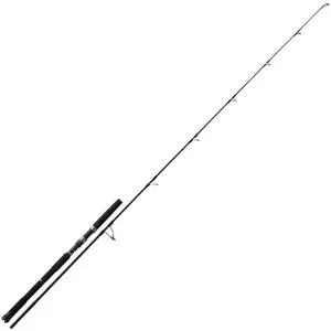 Canne spinning NS Black Hole Boca 40-110 g image-0